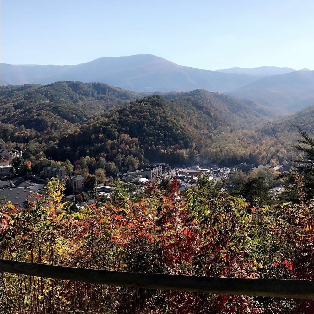 Hello Beautiful 💖 - Picture 2 of 2